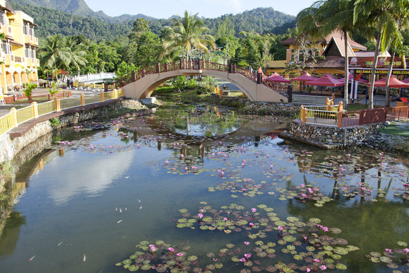 Малайзия. Озеро с лотосами