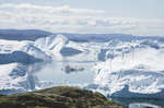 Илулиссат фьорд. Айсберги с ледника Якобсон.